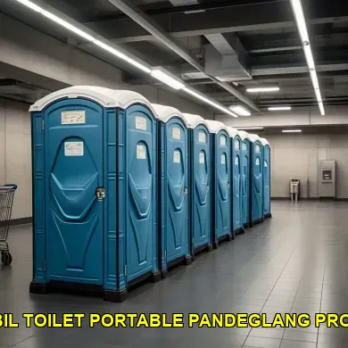 sewa mobil toilet portable pandeglang profesional